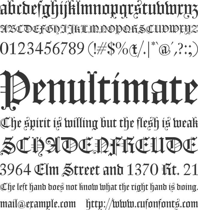 Fleischmann Gotisch PT font preview