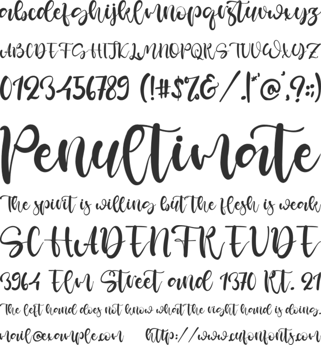 Spirit Day font preview