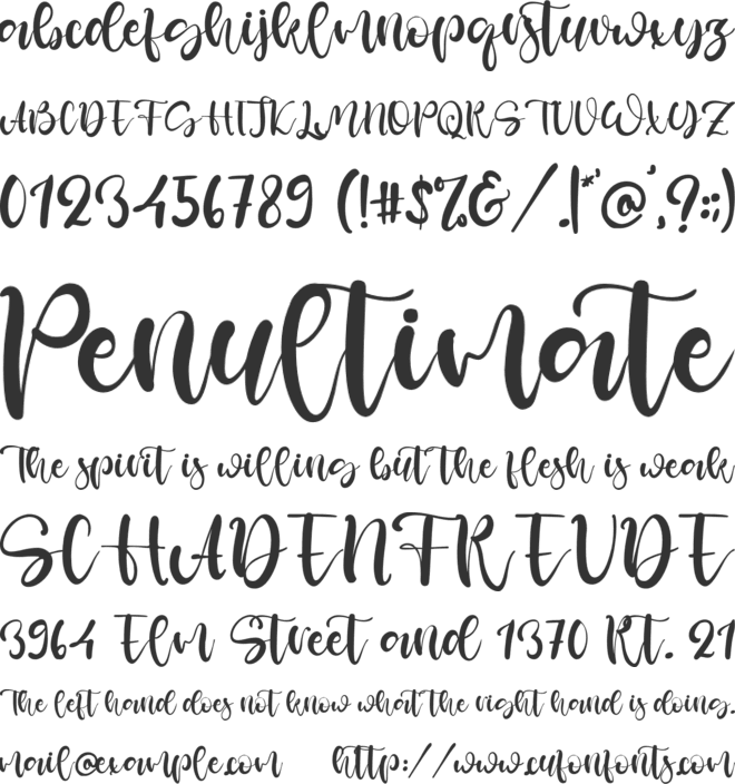 Spirit Day font preview