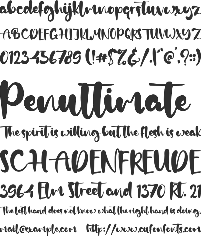 Ambitious font preview