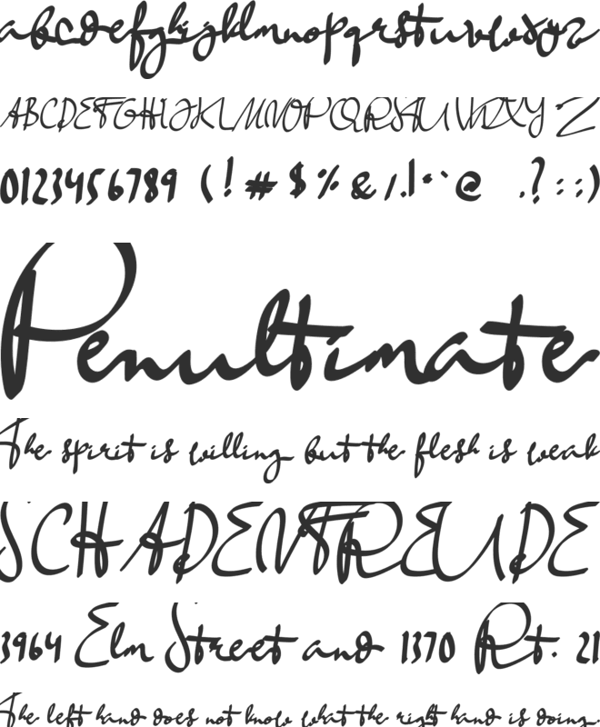 BuffaloHerder Calligraphy font preview