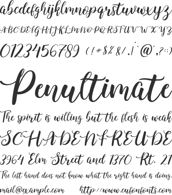 Yellena font preview