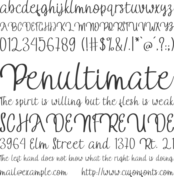 Camomile font preview