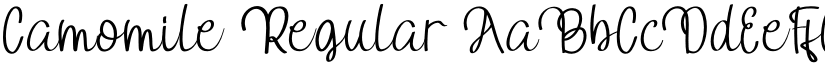 Camomile Regular font