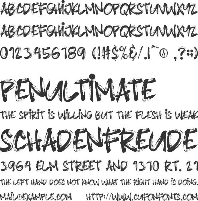 Blindshot font preview