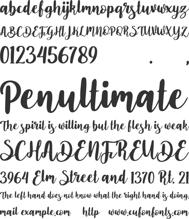 Nichea Rubean font preview