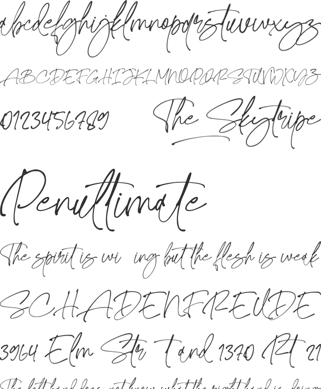 The Skytripe font preview