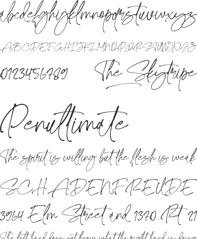 The Skytripe font preview