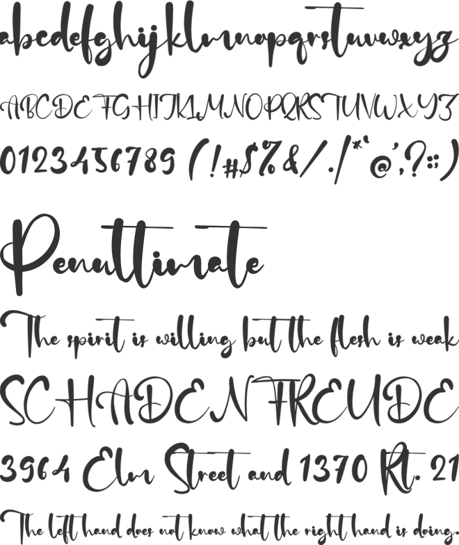 Dear Rachell font preview