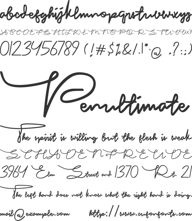 Kartina font preview