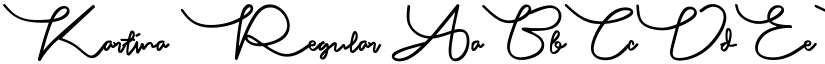 Kartina Regular font