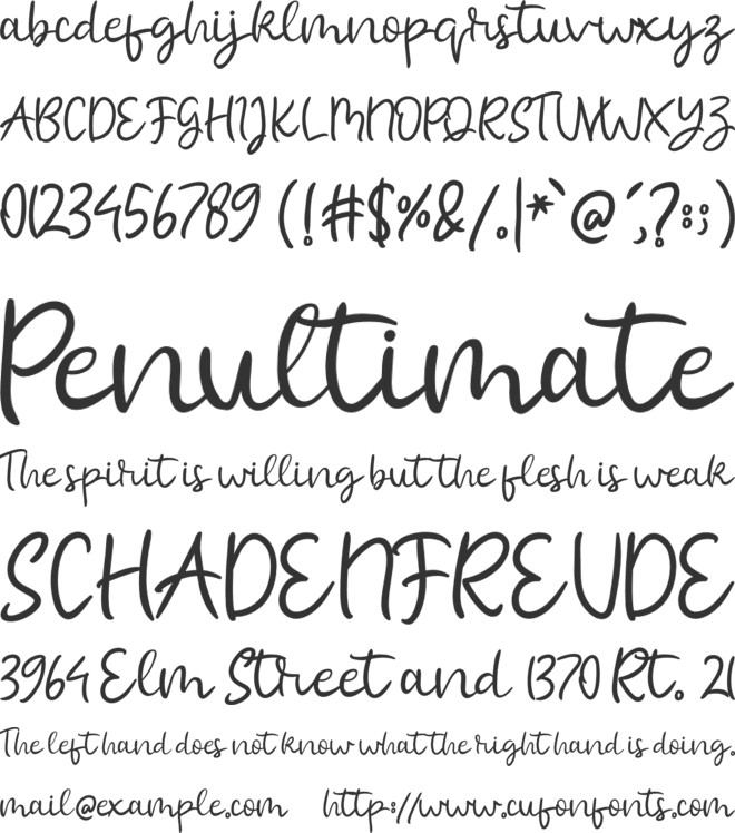 molly mermaid font preview