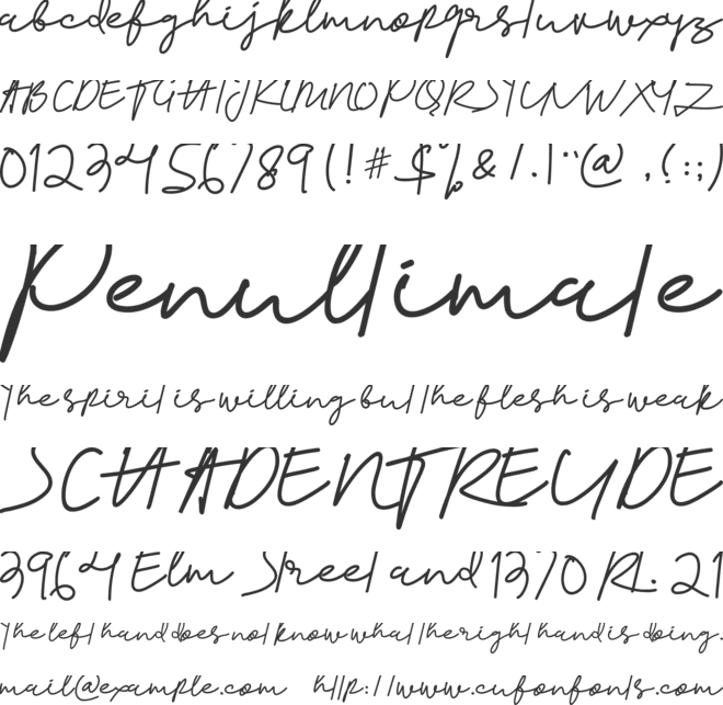 Gesture font preview