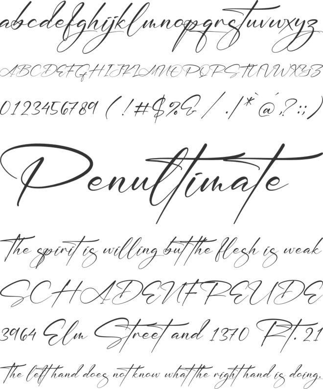 William Narasi font preview