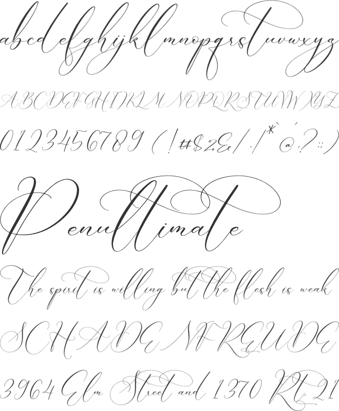 Boutique Qiara font preview