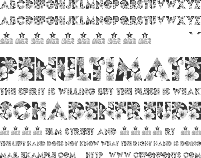 FLOR PERSONAL USE font preview