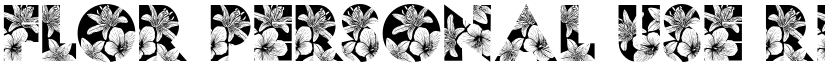 FLOR PERSONAL USE Regular font