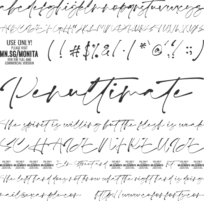 Monita Signature PERSONAL USE font preview
