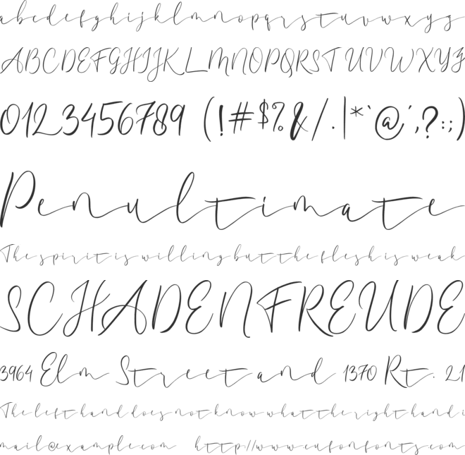 Amadela font preview