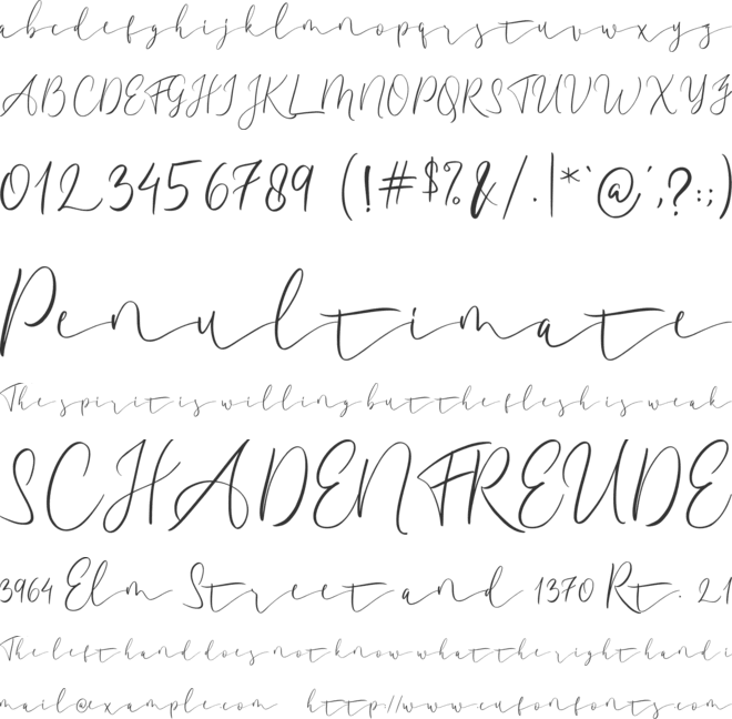 Amadela font preview