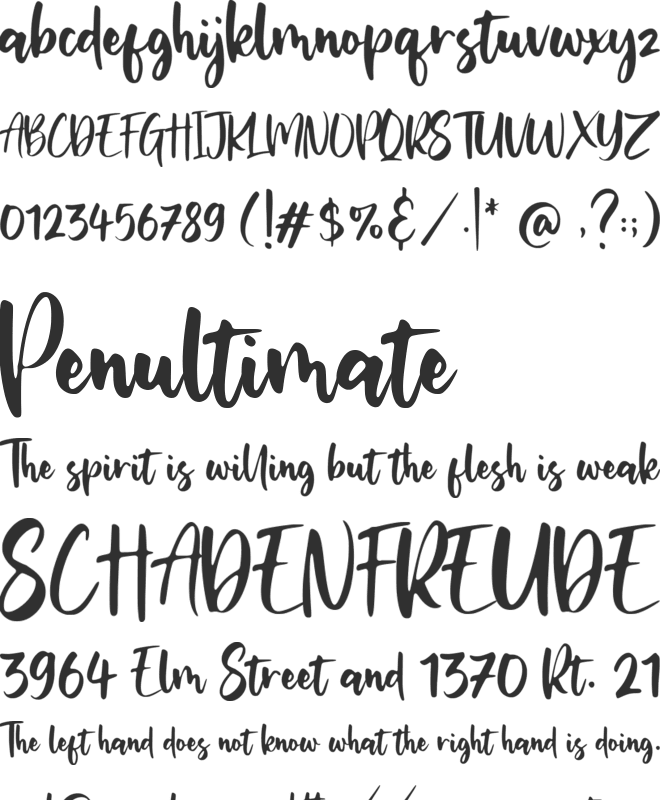 Miguelito font preview
