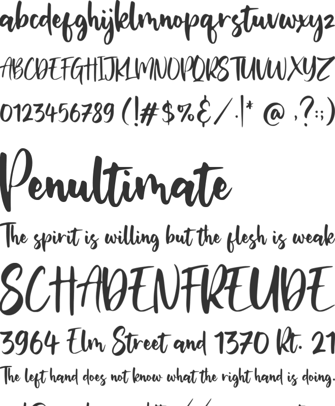 Miguelito font preview