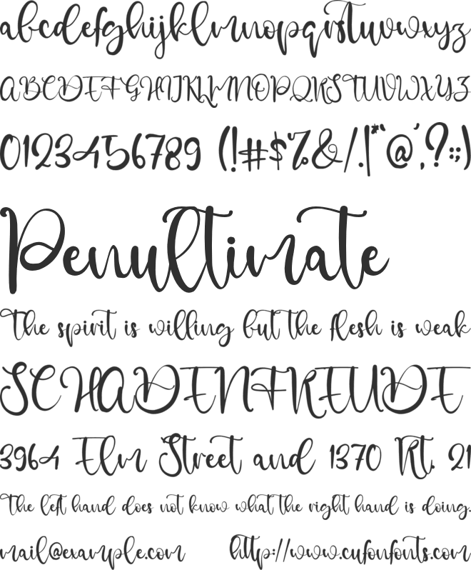 Dolphins font preview