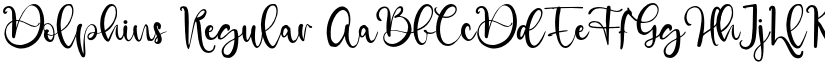Dolphins Regular font