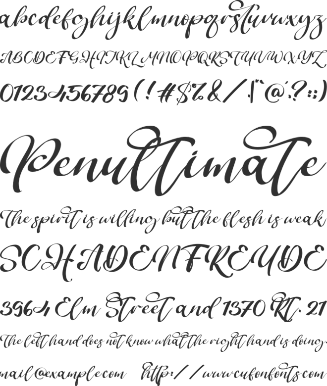 Bogbeast font preview