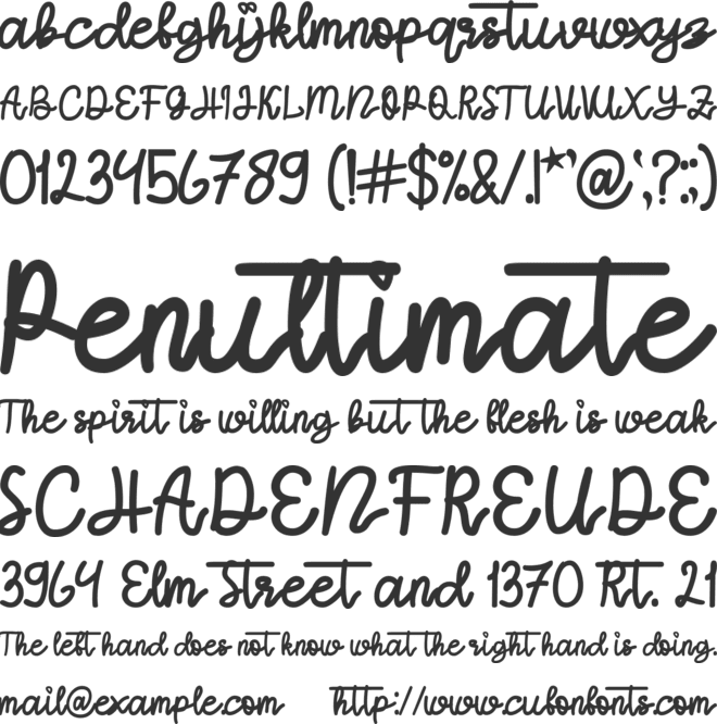 Protector font preview