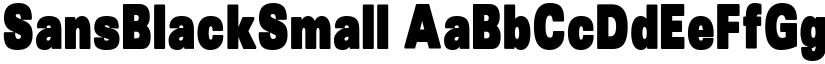 SansBlackSmall font