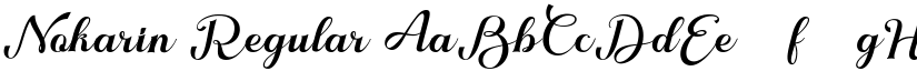 Nokarin font download