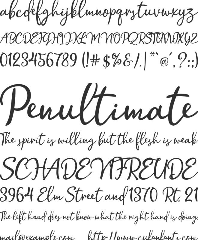 Hollymoon Script font preview