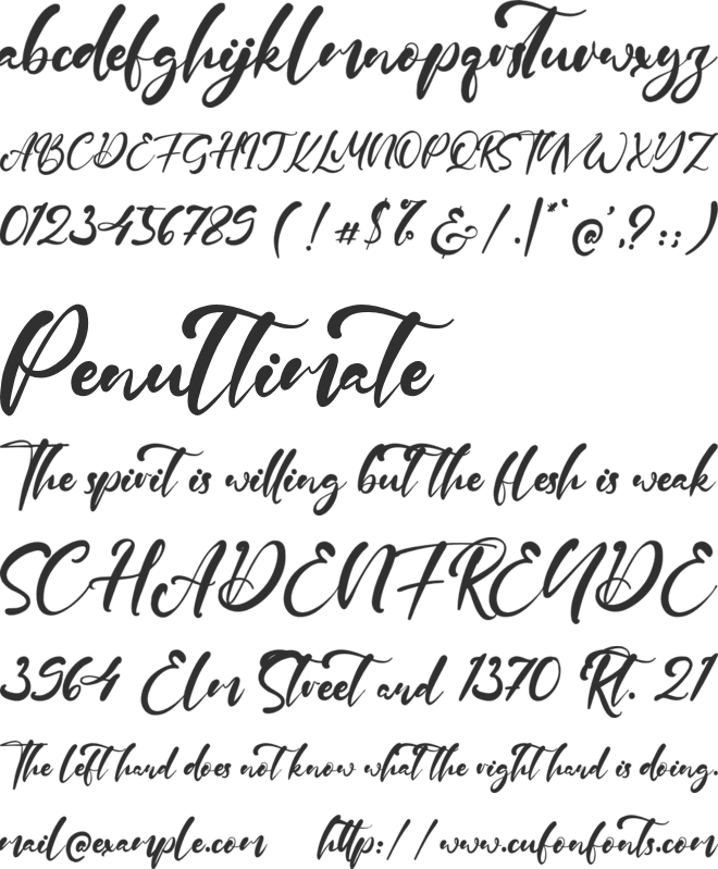 Rotterdam Canal font preview