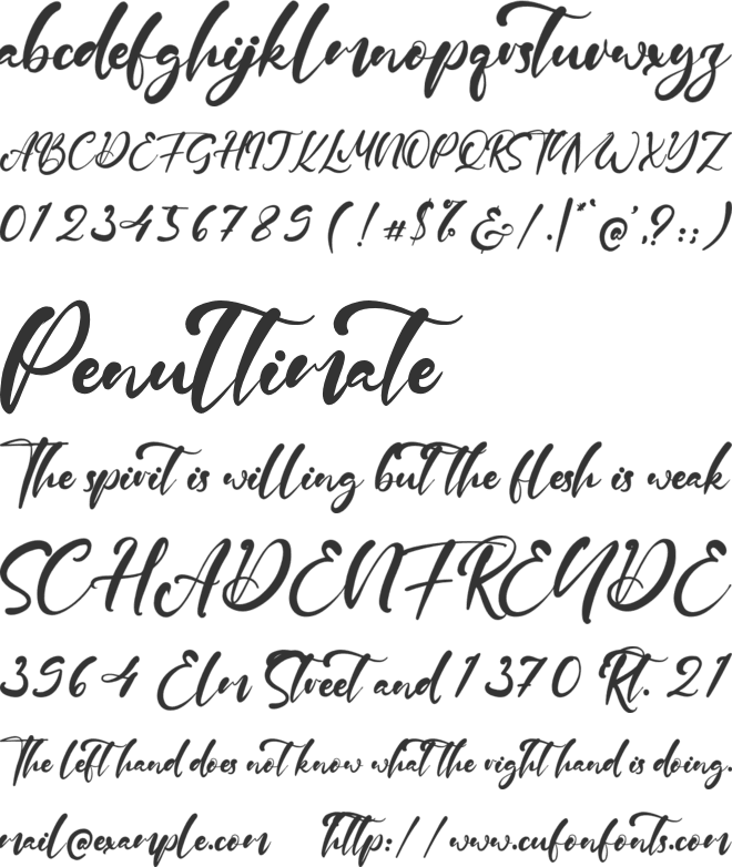 Rotterdam Canal font preview