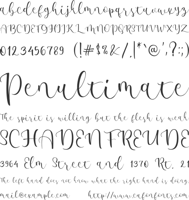 amalena font preview