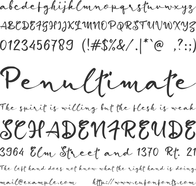 d Document Signature font preview