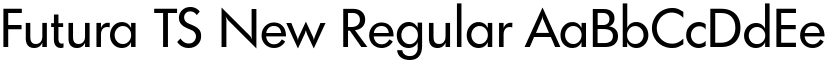 Futura TS New Regular font