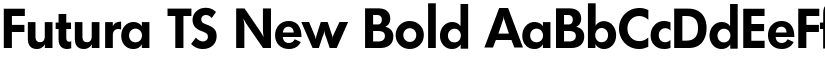 Futura TS New Bold font