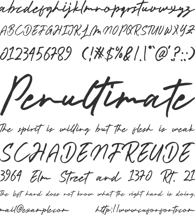 Rastury Signature font preview