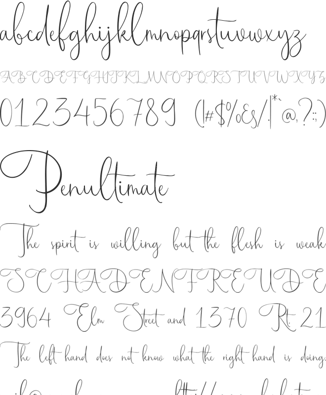 Maestrography font preview