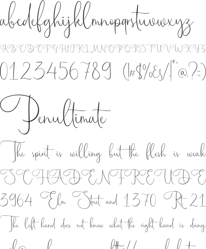 Maestrography font preview