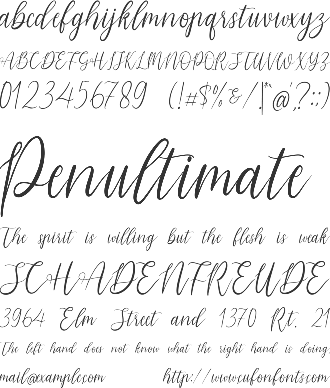 Morpline font preview