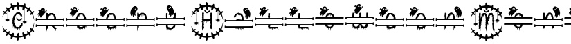 Creepy Halloween Monogram Regular font