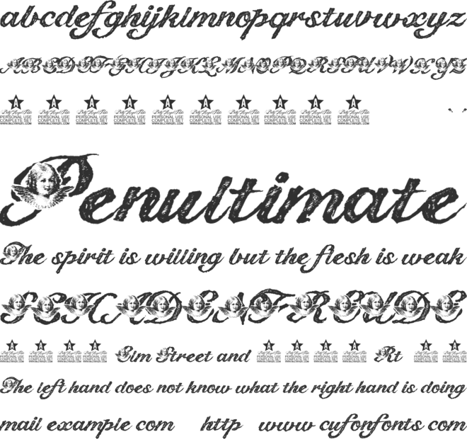 Angelica Personal Use font preview