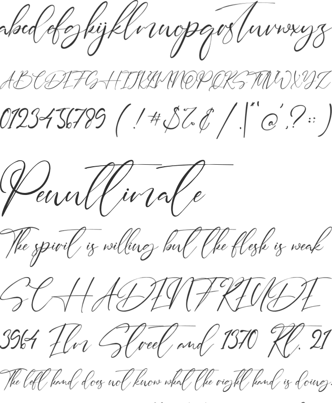 Sydney Signature font preview