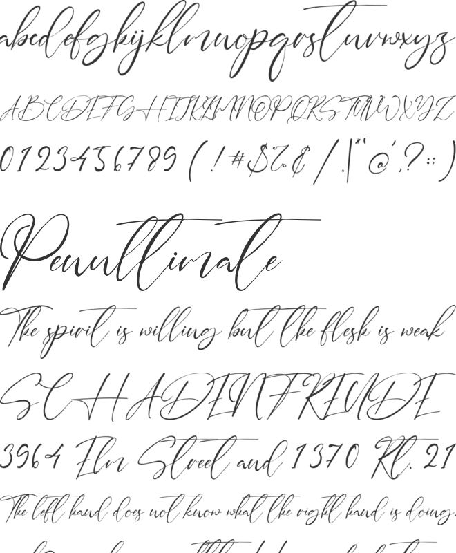 Sydney Signature font preview