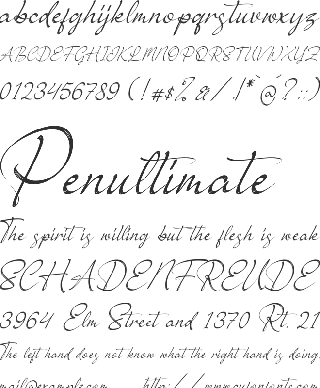 Brush Renytha font preview