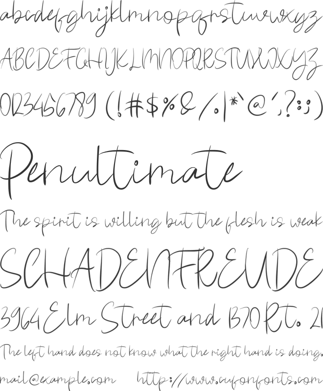 black mamba font preview