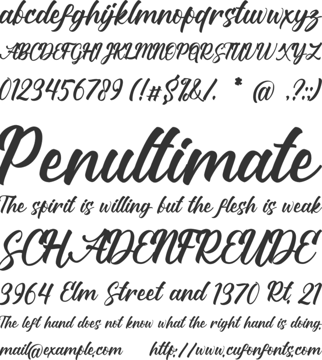 Princess Ryanti font preview